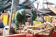 Quang Ninh suspends vessel permits as storm Maysak nears